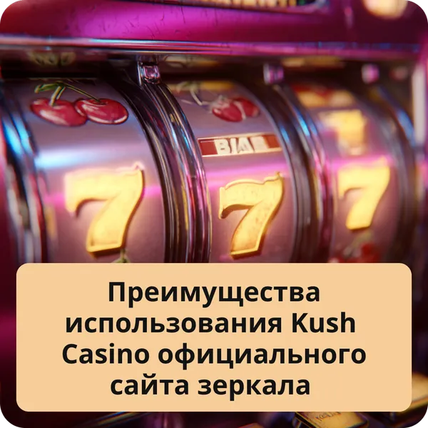 Преимущества использования Kush Casino официального сайта зеркала